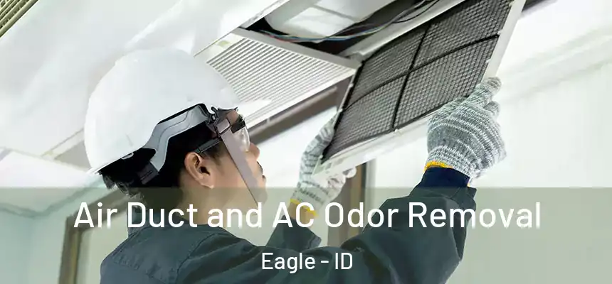  Air Duct and AC Odor Removal Eagle - ID