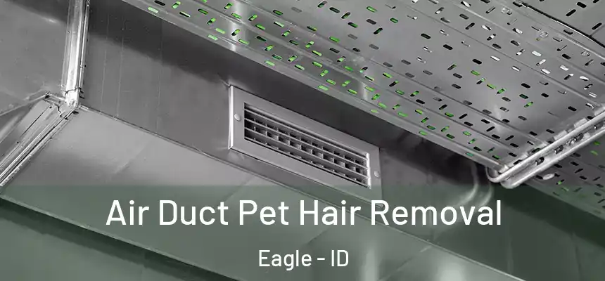  Air Duct Pet Hair Removal Eagle - ID