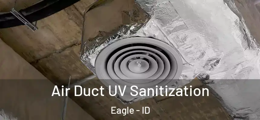  Air Duct UV Sanitization Eagle - ID