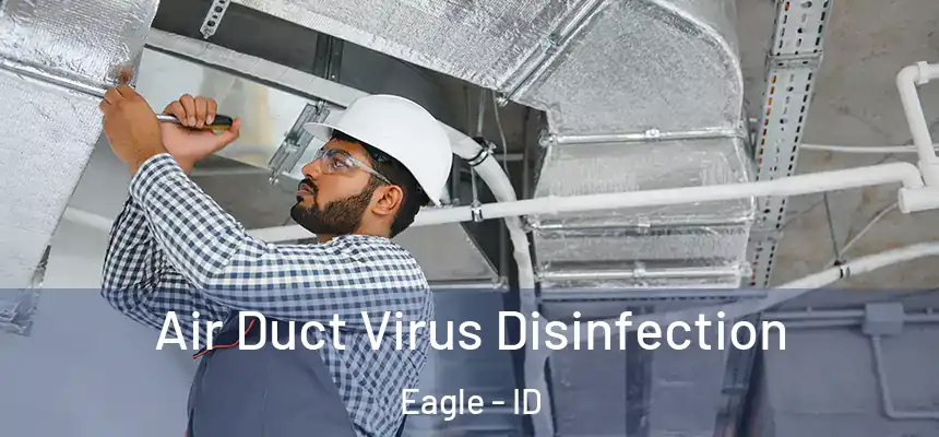  Air Duct Virus Disinfection Eagle - ID