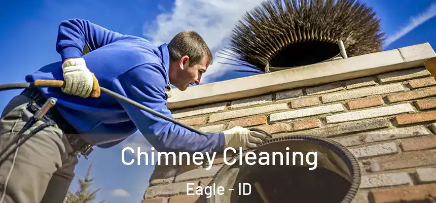 Chimney Cleaning Eagle - ID
