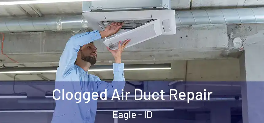  Clogged Air Duct Repair Eagle - ID