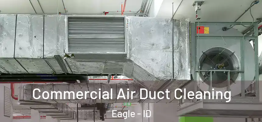  Commercial Air Duct Cleaning Eagle - ID