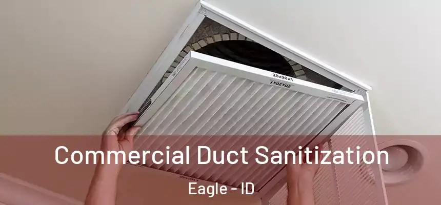  Commercial Duct Sanitization Eagle - ID