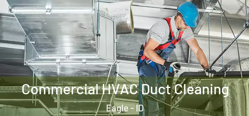  Commercial HVAC Duct Cleaning Eagle - ID