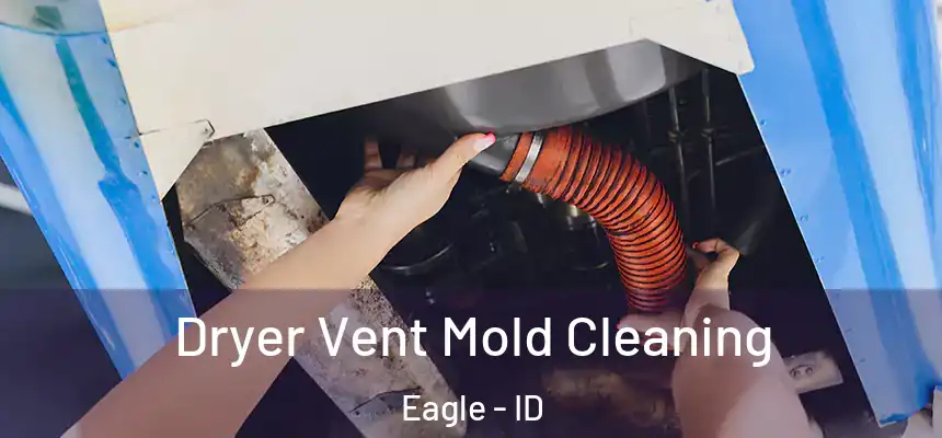  Dryer Vent Mold Cleaning Eagle - ID