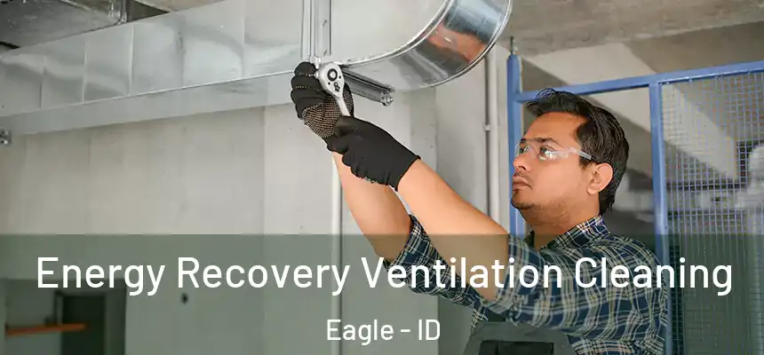 Energy Recovery Ventilation Cleaning Eagle - ID