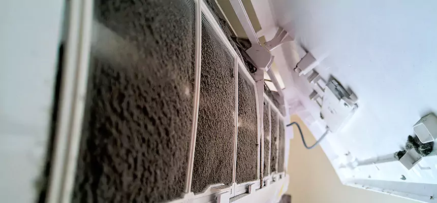 Preventive Air Duct Bacteria Removal in Eagle