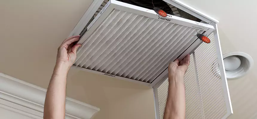 Preventive Cockroach-Proofing for Ducts in Eagle
