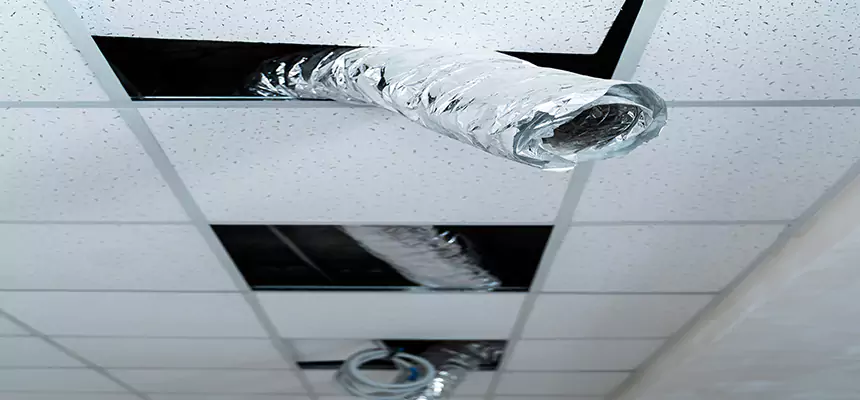 Our Air Duct Pet Hair Removal Services in Eagle, ID