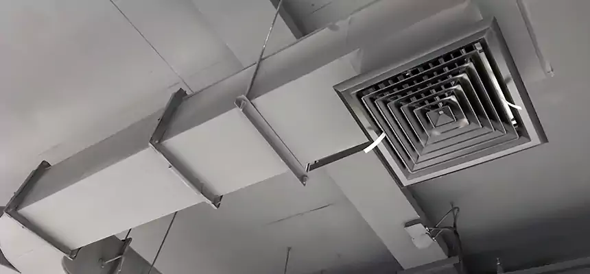 Restorative Allergy Relief Vent Cleaning – Coil, Blower & Housing Detail in Eagle