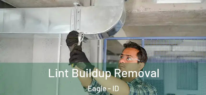  Lint Buildup Removal Eagle - ID