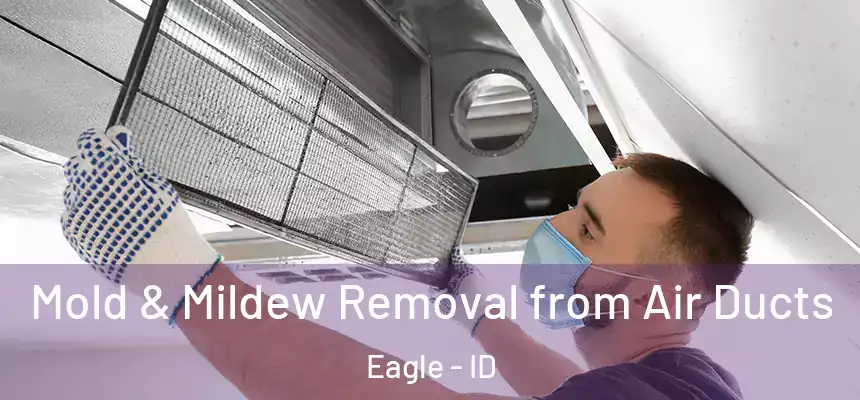 Mold & Mildew Removal from Air Ducts Eagle - ID