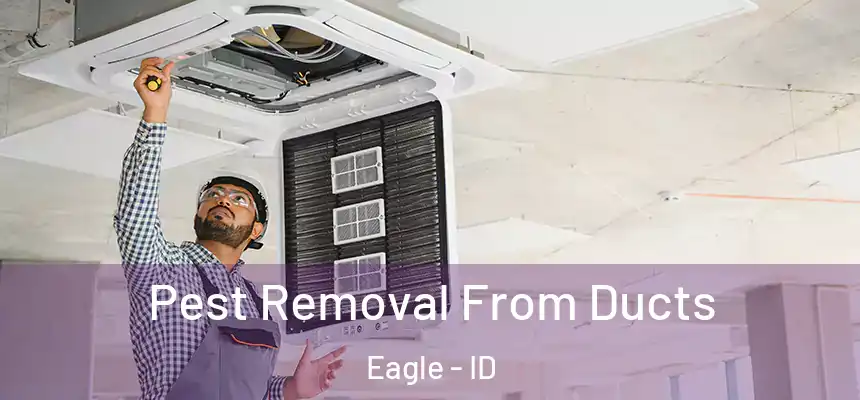  Pest Removal From Ducts Eagle - ID