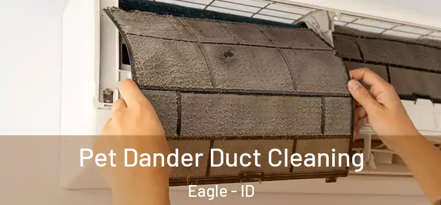  Pet Dander Duct Cleaning Eagle - ID