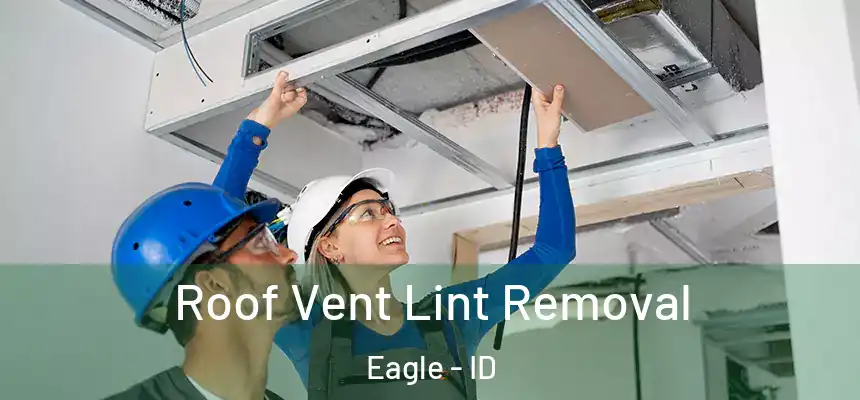  Roof Vent Lint Removal Eagle - ID