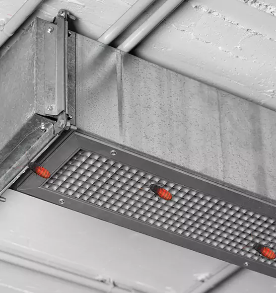 Affordable Insect Removal from Air Ducts in Eagle, ID