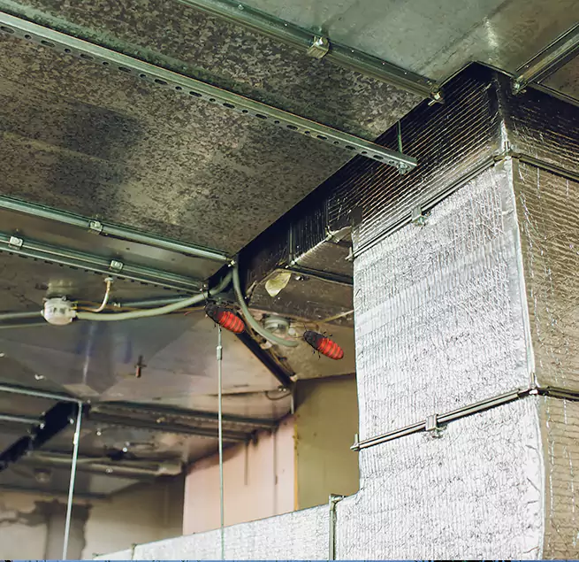 Why Homeowners & Businesses Trust Us in Eagle, ID?